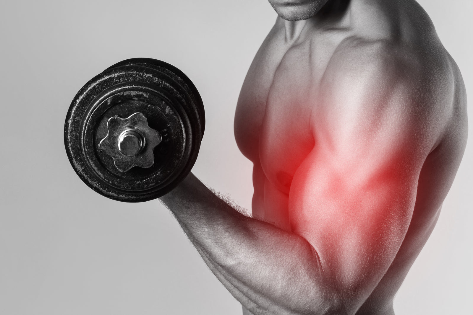 Dambılla biceps curl yapan sporcu, ön kol ve pazu çalışması