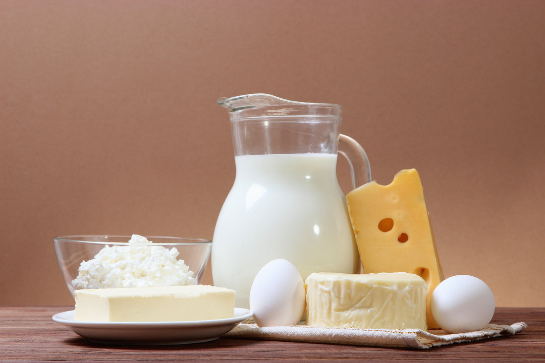 Süt Ürünlerinde Protein: Yoğurt, Peynir ve Süzme Peynir Değerleri