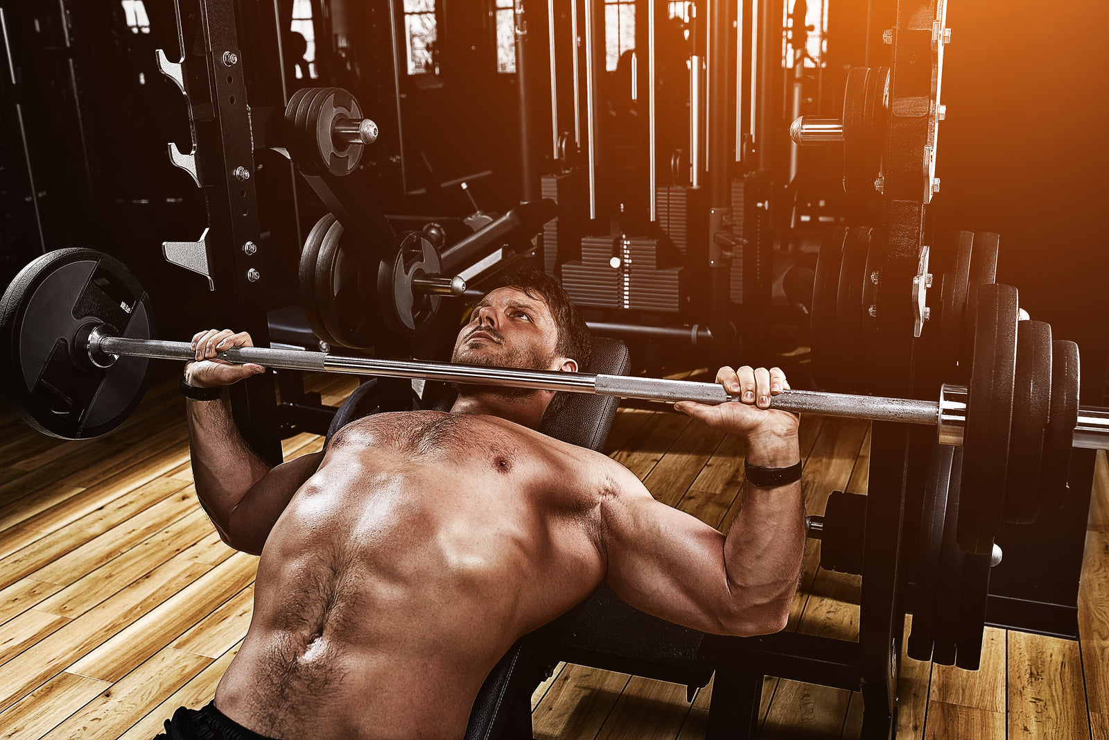 Sehpada halterle bench press yapan sporcu