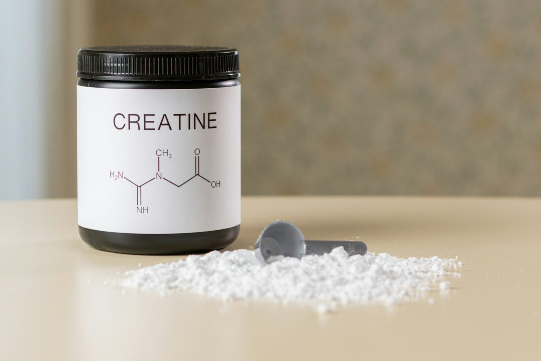 Everything You Need to Know About Creatine and Its Types